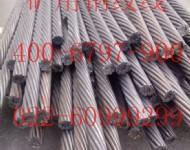 礦用鋼絞線022-60999299廠家